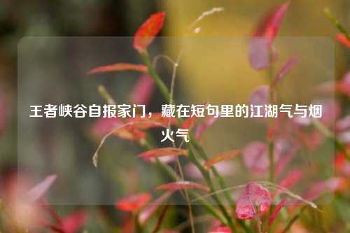 王者峡谷自报家门,藏在短句里的江湖气与烟火气