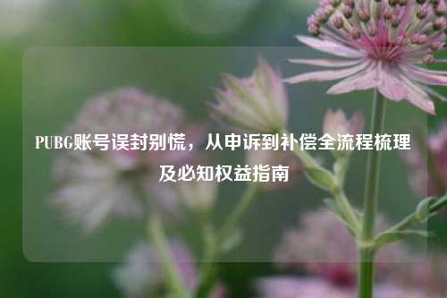 PUBG账号误封别慌，从申诉到补偿全流程梳理及必知权益指南