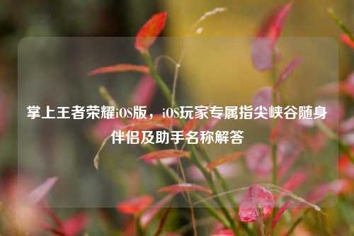 掌上王者荣耀iOS版，iOS玩家专属指尖峡谷随身伴侣及助手名称解答