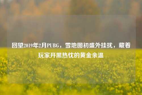 回望2019年2月PUBG,雪地图初盛外挂扰,藏着玩家开黑热忱的黄金余温