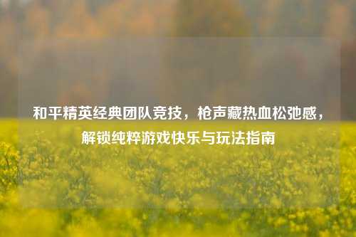 和平精英经典团队竞技,枪声藏热血松弛感,解锁纯粹游戏快乐与玩法指南