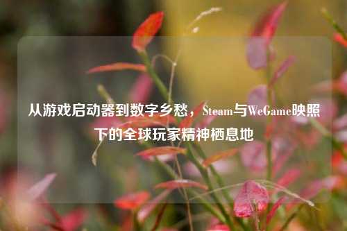 从游戏启动器到数字乡愁,Steam与WeGame映照下的全球玩家精神栖息地