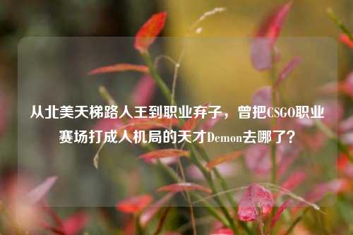 从北美天梯路人王到职业弃子,曾把CSGO职业赛场打成人机局的天才Demon去哪了?