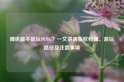 腾讯能不能玩PUBG?一文讲清版权归属、游玩路径及注意事项