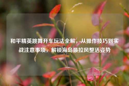 和平精英跳舞开车玩法全解,从操作技巧到实战注意事项,解锁海岛最拉风整活姿势