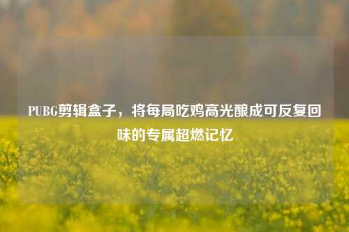 PUBG剪辑盒子,将每局吃鸡高光酿成可反复回味的专属超燃记忆