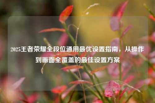 2025王者荣耀全段位通用最优设置指南,从操作到画面全覆盖的最佳设置方案