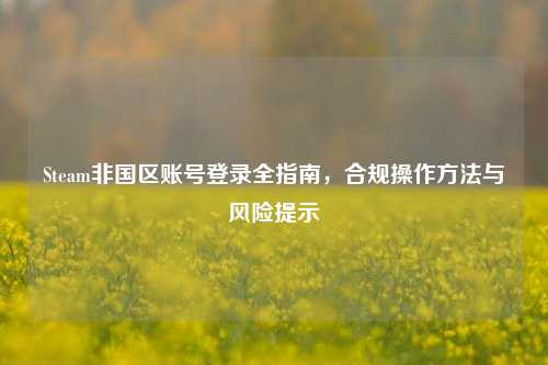 Steam非国区账号登录全指南,合规操作方法与风险提示