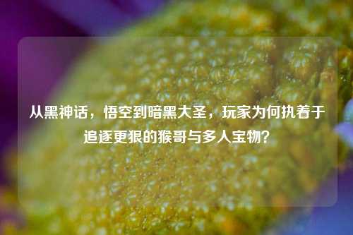 从黑神话,悟空到暗黑大圣,玩家为何执着于追逐更狠的猴哥与多人宝物?