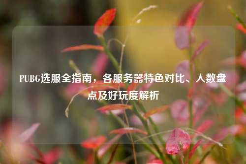 PUBG选服全指南,各服务器特色对比、人数盘点及好玩度解析