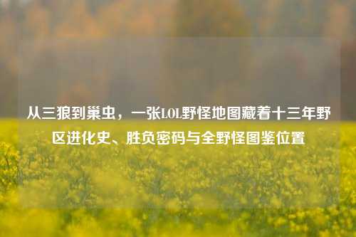 从三狼到巢虫，一张LOL野怪地图藏着十三年野区进化史、胜负密码与全野怪图鉴位置