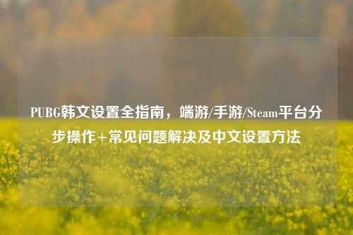 PUBG韩文设置全指南,端游/手游/Steam平台分步操作+常见问题解决及中文设置方法