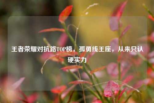 王者荣耀对抗路TOP榜，孤勇线王座，从来只认硬实力