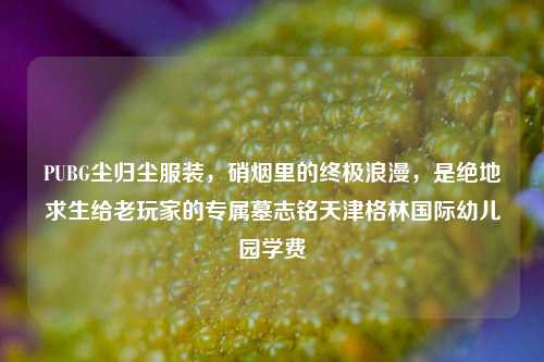 PUBG尘归尘服装，硝烟里的终极浪漫，是绝地求生给老玩家的专属墓志铭天津格林国际幼儿园学费