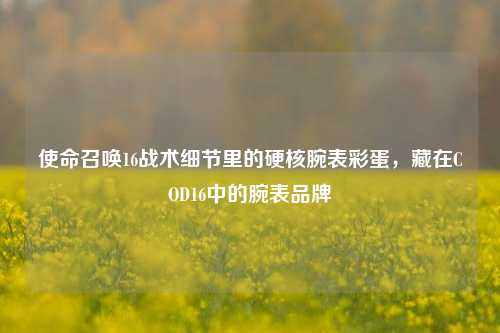 使命召唤16战术细节里的硬核腕表彩蛋,藏在COD16中的腕表品牌
