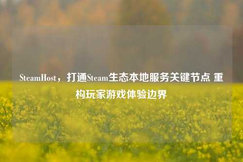 SteamHost,打通Steam生态本地服务关键节点 重构玩家游戏体验边界