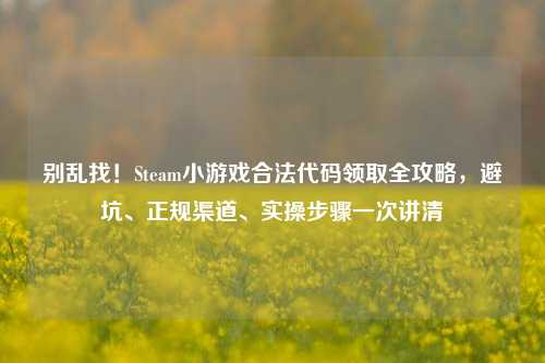 别乱找！Steam小游戏合法代码领取全攻略，避坑、正规渠道、实操步骤一次讲清