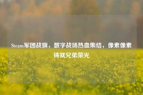Steam军团战旗,数字战场热血集结,像素像素铸就兄弟荣光