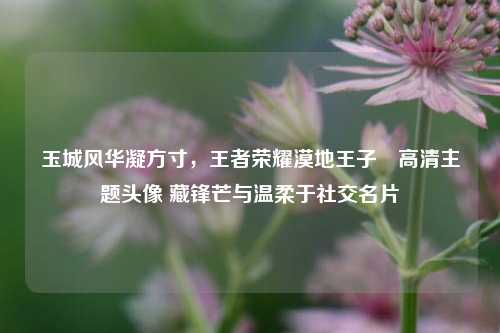 玉城风华凝方寸,王者荣耀漠地王子暃高清主题头像 藏锋芒与温柔于社交名片