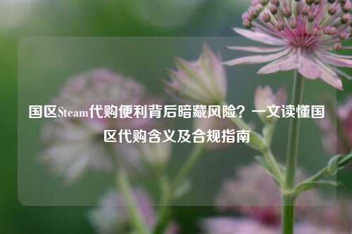 国区Steam代购便利背后暗藏风险？一文读懂国区代购含义及合规指南