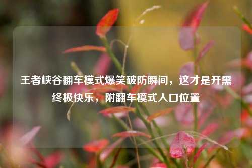 王者峡谷翻车模式爆笑破防瞬间，这才是开黑终极快乐，附翻车模式入口位置