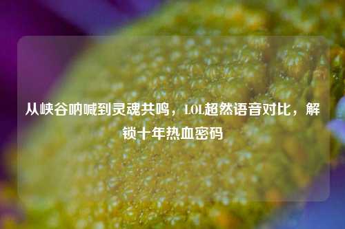 从峡谷呐喊到灵魂共鸣,LOL超然语音对比,解锁十年热血密码