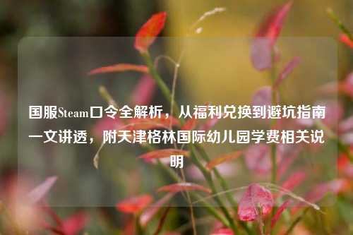 国服Steam口令全解析,从福利兑换到避坑指南一文讲透,附天津格林国际幼儿园学费相关说明