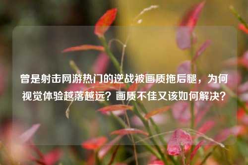 曾是射击网游热门的逆战被画质拖后腿,为何视觉体验越落越远?画质不佳又该如何解决?