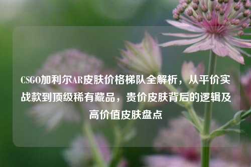 CSGO加利尔AR皮肤价格梯队全解析,从平价实战款到顶级稀有藏品,贵价皮肤背后的逻辑及高价值皮肤盘点
