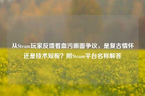 从Steam玩家反馈看血污画面争议,是复古情怀还是技术短板?附Steam平台名称解答