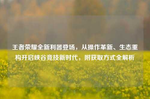 王者荣耀全新利器登场,从操作革新、生态重构开启峡谷竞技新时代,附获取方式全解析