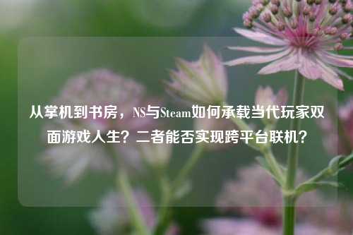 从掌机到书房,NS与Steam如何承载当代玩家双面游戏人生?二者能否实现跨平台联机?