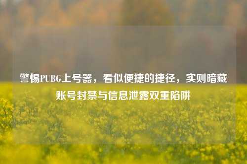 警惕PUBG上号器,看似便捷的捷径,实则暗藏账号封禁与信息泄露双重陷阱