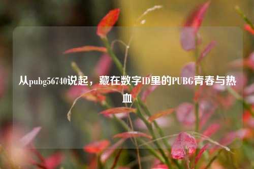 从pubg56740说起，藏在数字ID里的PUBG青春与热血