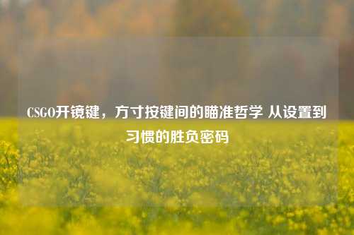 CSGO开镜键,方寸按键间的瞄准哲学 从设置到习惯的胜负密码
