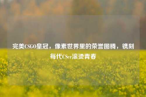 完美CSGO皇冠，像素世界里的荣誉图腾，镌刻每代CSer滚烫青春