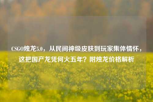 CSGO烛龙5.0,从民间神级皮肤到玩家集体情怀,这把国产龙凭何火五年?附烛龙价格解析