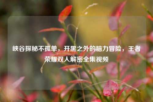 峡谷探秘不孤单,开黑之外的脑力冒险,王者荣耀双人解密全集视频