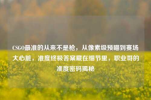 CSGO最准的从来不是枪，从像素级预瞄到赛场大心脏，准度终极答案藏在细节里，职业哥的准度密码揭秘