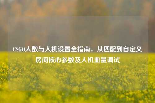 CSGO人数与人机设置全指南,从匹配到自定义房间核心参数及人机血量调试