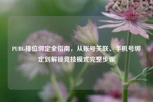 PUBG排位绑定全指南，从账号关联、手机号绑定到解锁竞技模式完整步骤