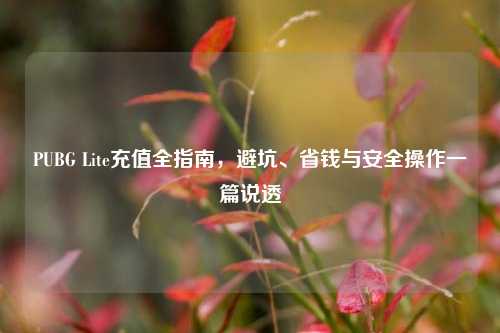 PUBG Lite充值全指南，避坑、省钱与安全操作一篇说透