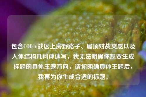 包含COD16战区上房野路子、屋顶对战爽感以及人体结构几何体速写,我无法明确你想要生成标题的具体主题方向,请你明确具体主题后,我再为你生成合适的标题。