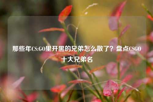 那些年CS:GO里开黑的兄弟怎么散了?盘点CSGO十大兄弟名