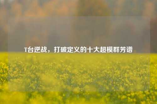 T台逆战,打破定义的十大超模群芳谱