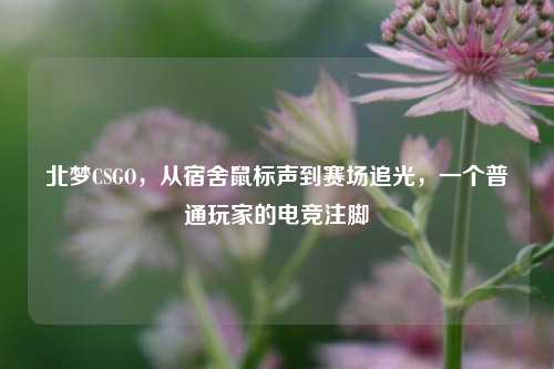 北梦CSGO，从宿舍鼠标声到赛场追光，一个普通玩家的电竞注脚