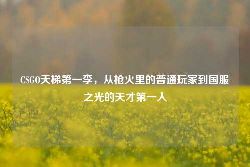 CSGO天梯第一李,从枪火里的普通玩家到国服之光的天才第一人