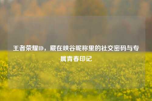 王者荣耀ID,藏在峡谷昵称里的社交密码与专属青春印记