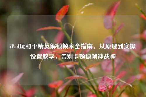 iPad玩和平精英解锁帧率全指南,从原理到实操设置教学,告别卡顿稳帧冲战神