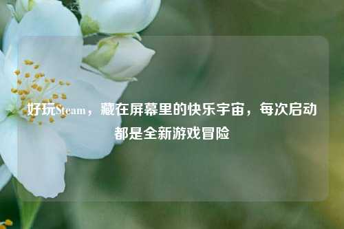 好玩Steam,藏在屏幕里的快乐宇宙,每次启动都是全新游戏冒险